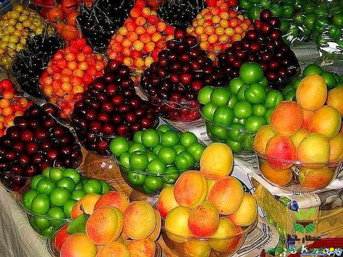 قیمت میوه های نوبرانه قیمت میوه های نوبرانه