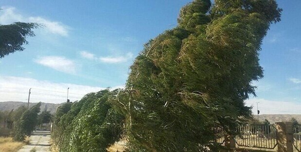 رگبار و رعدوبرق در برخی نفاط کشور/ افزایش دما تا ۴۹ درجه و بالاتر در دو استان رگبار و رعدوبرق در برخی نفاط کشور/ افزایش دما تا ۴۹ درجه و بالاتر در دو استان