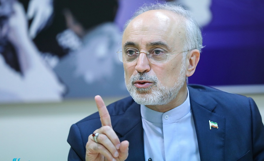 صالحی: حکمرانی با جبر میسر نمی&zwnj;شود / یک حکمران زمانی موفق است که اصلاح پذیر باشد و به نخبگان گوش کند