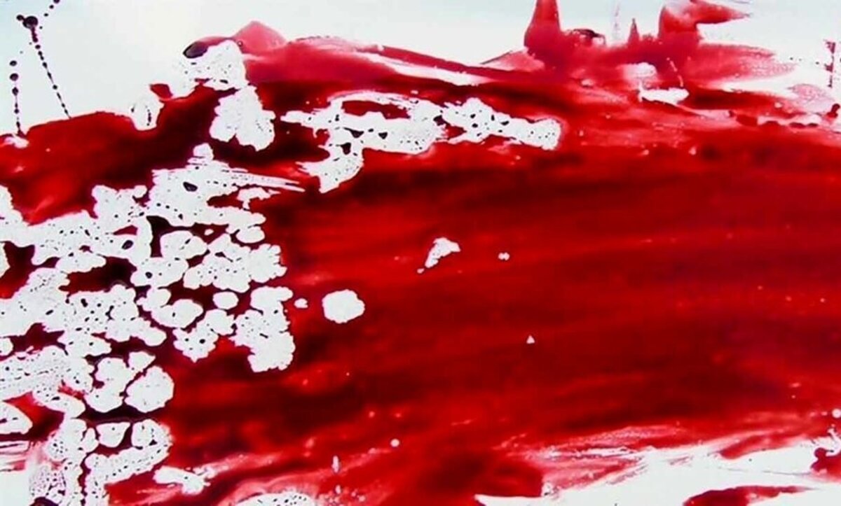 قتل دانشآموز ۱۵ ساله با ضربات آجر | سرانجام تهدید به قتل در لایو اینستاگرام قتل دانشآموز ۱۵ ساله با ضربات آجر | سرانجام تهدید به قتل در لایو اینستاگرام