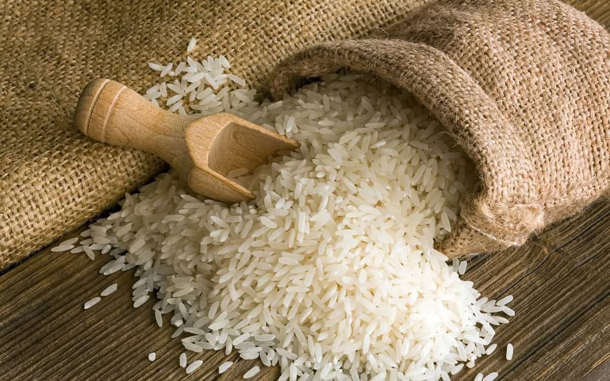 روزگار ناخوش برنج ایرانی روزگار ناخوش برنج ایرانی