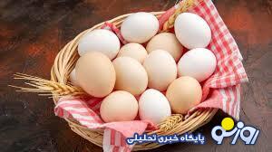 قیمت جدید تخم مرغ در بازار قیمت جدید تخم مرغ در بازار