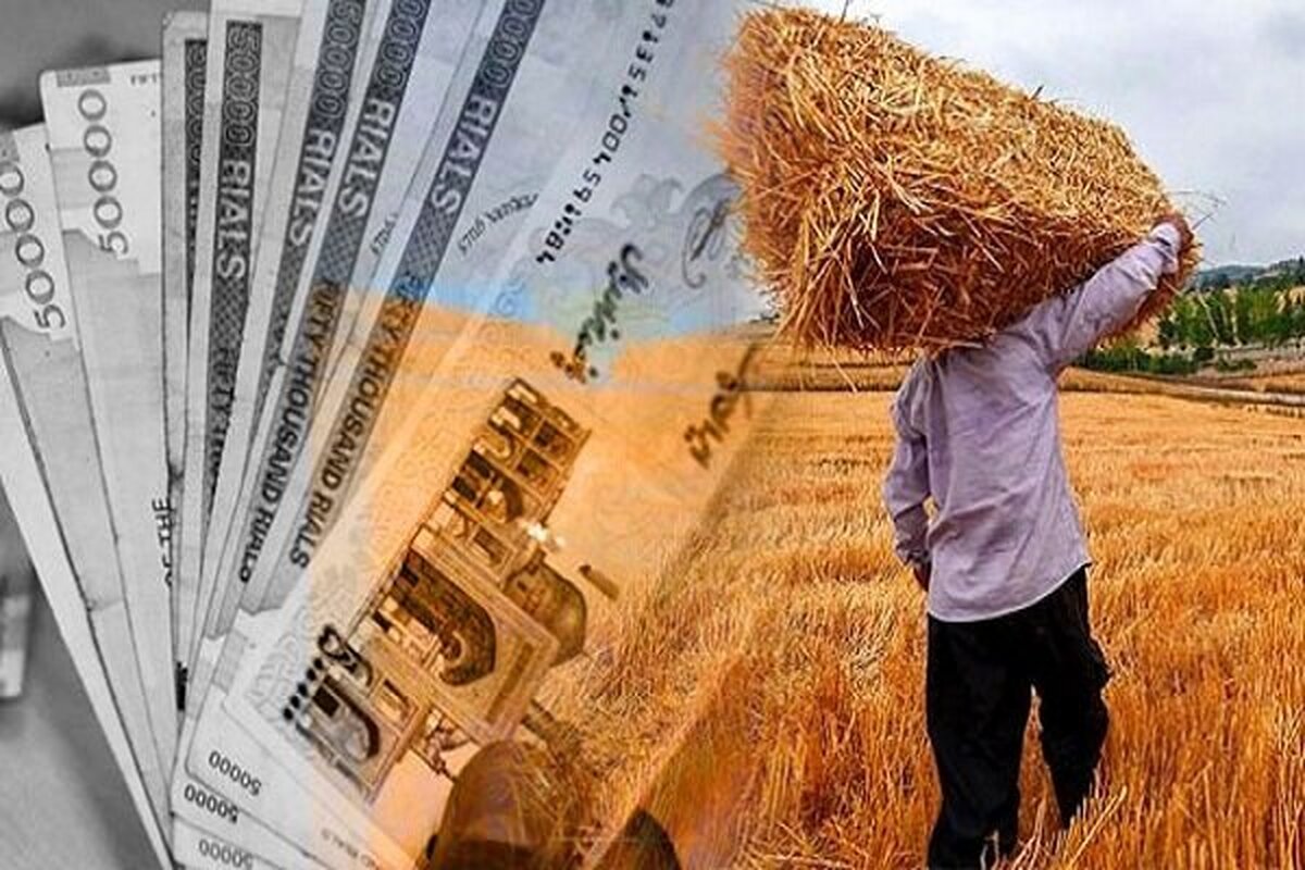 خبر مهم برای گندمکاران/ چند همت به حساب گندمکاران واریز شد؟ خبر مهم برای گندمکاران/ چند همت به حساب گندمکاران واریز شد؟
